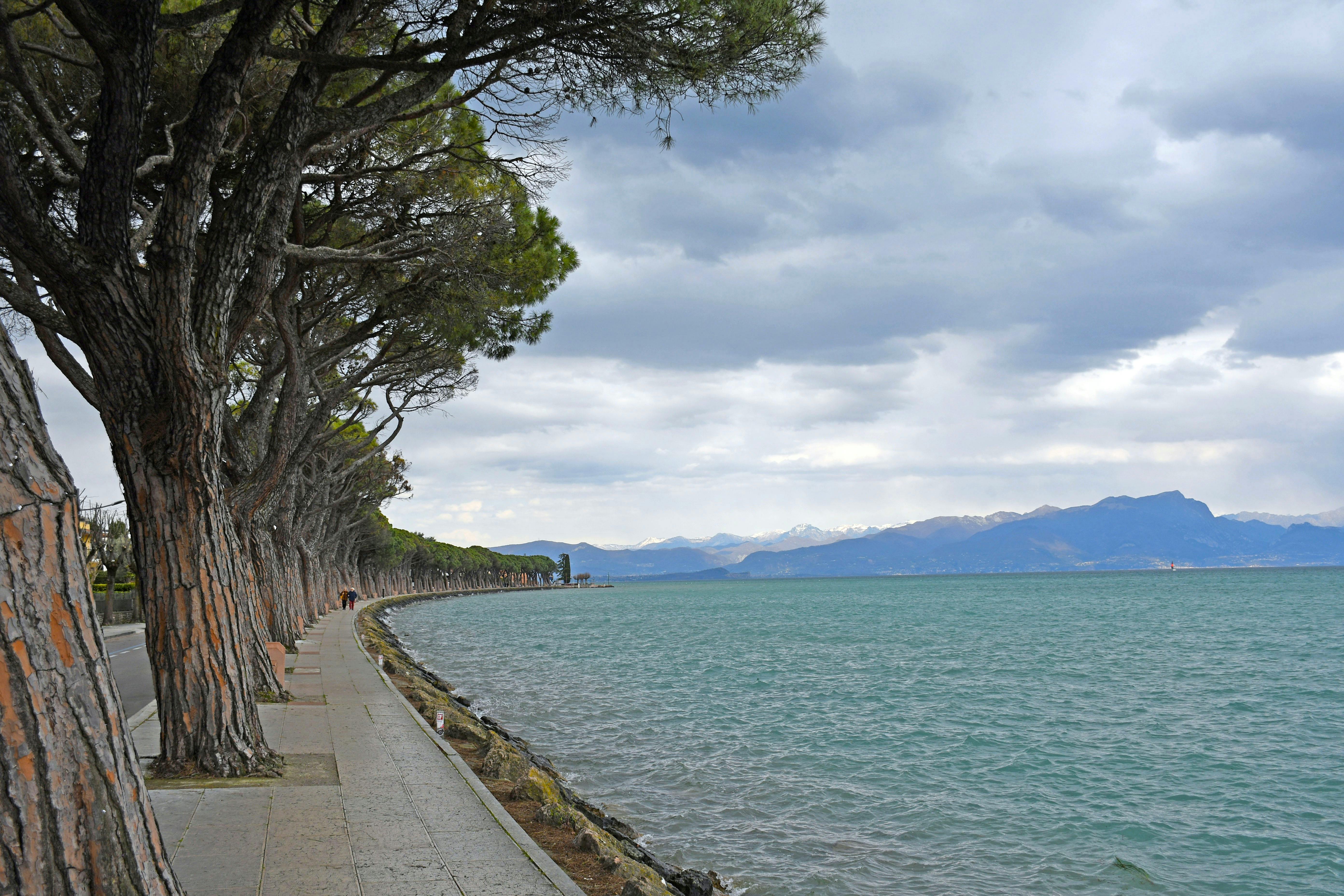Sea-Level Rise and the Role of Geneva — Photo by Rudin Greblleshi on Pexels
