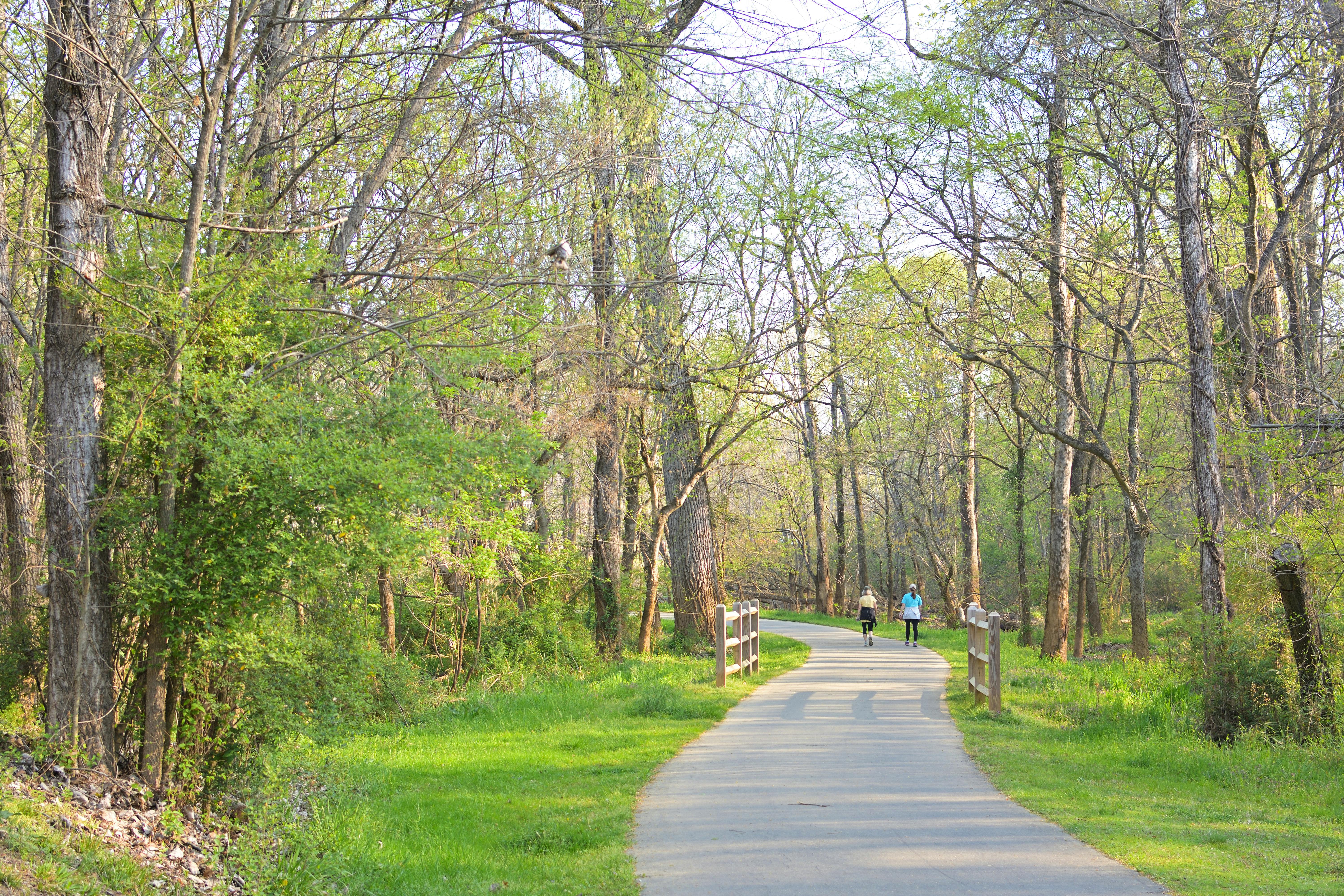 Freedom Park