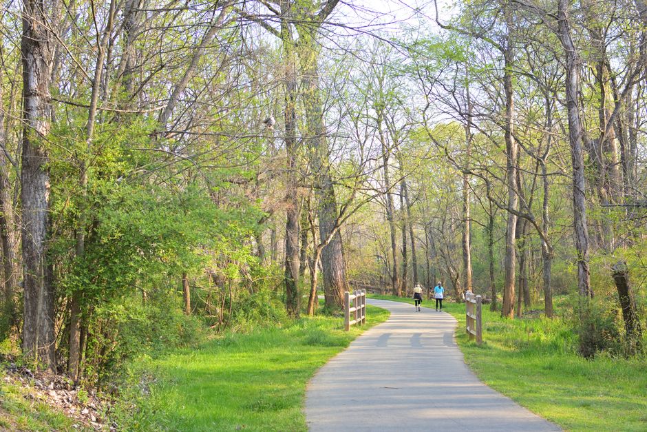 Freedom Park