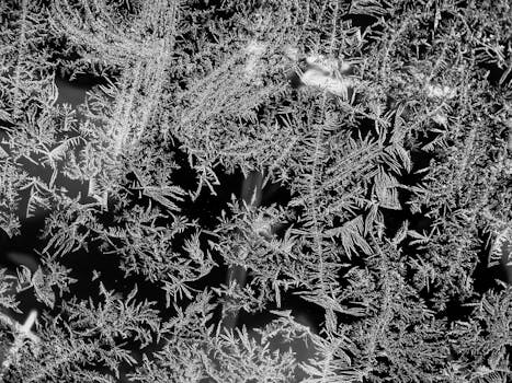 一张捕捉冬季精髓的玻璃表面霜冻图案黑白照片