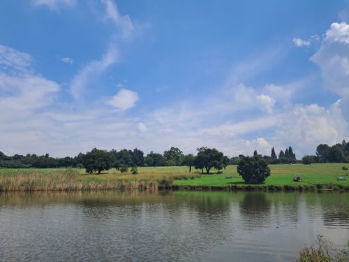 Free Peaceful park view in Randburg, featuring serene lake, trees, and blue sky. Stock Photo