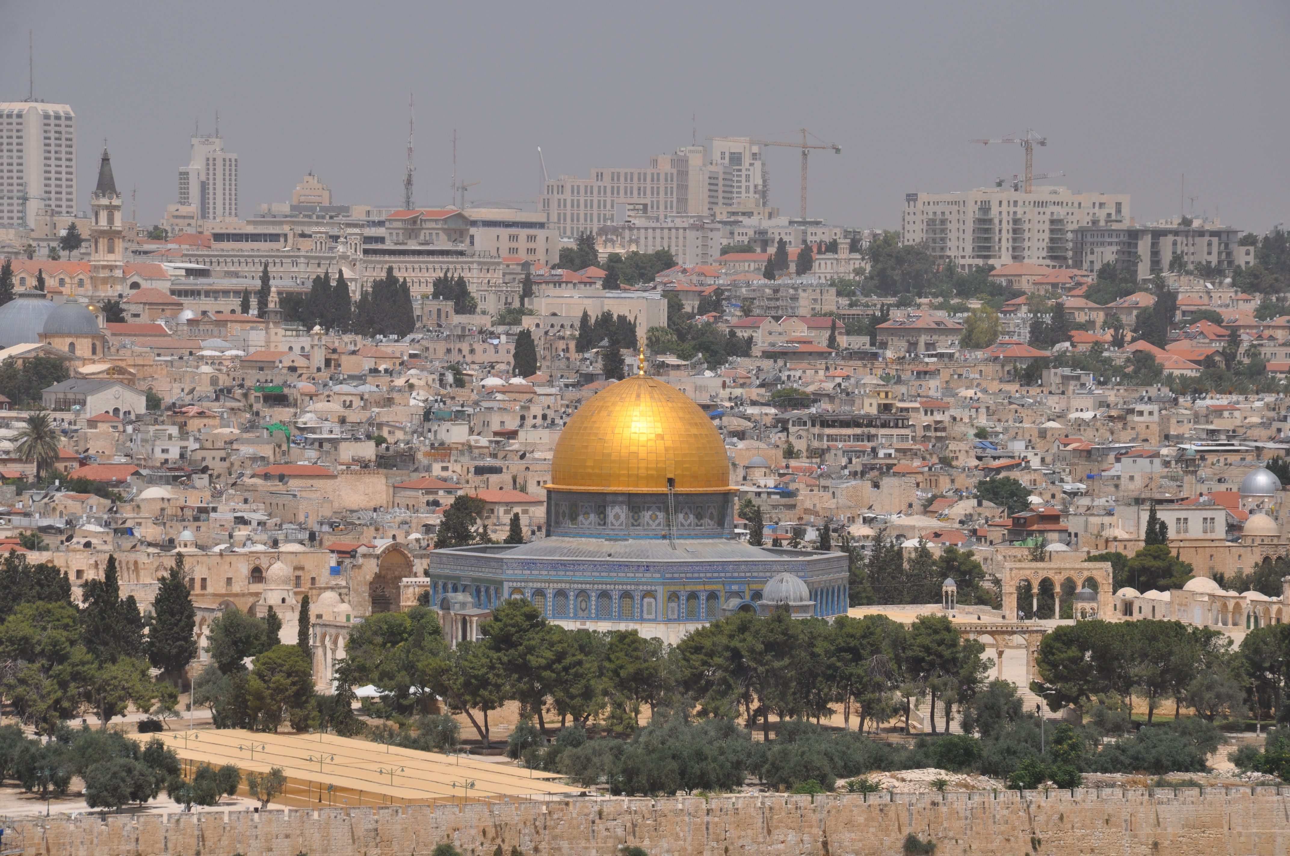 Hairdo Holy Land