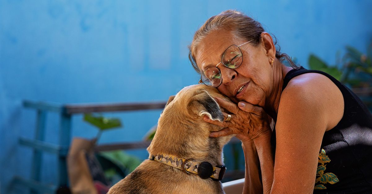 Uma cena comovente de uma senhora idosa abraçando carinhosamente seu cachorro de estimação ao ar livre.