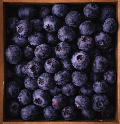 Free A close-up of freshly harvested blueberries arranged in a wooden box, perfect for markets. Stock Photo