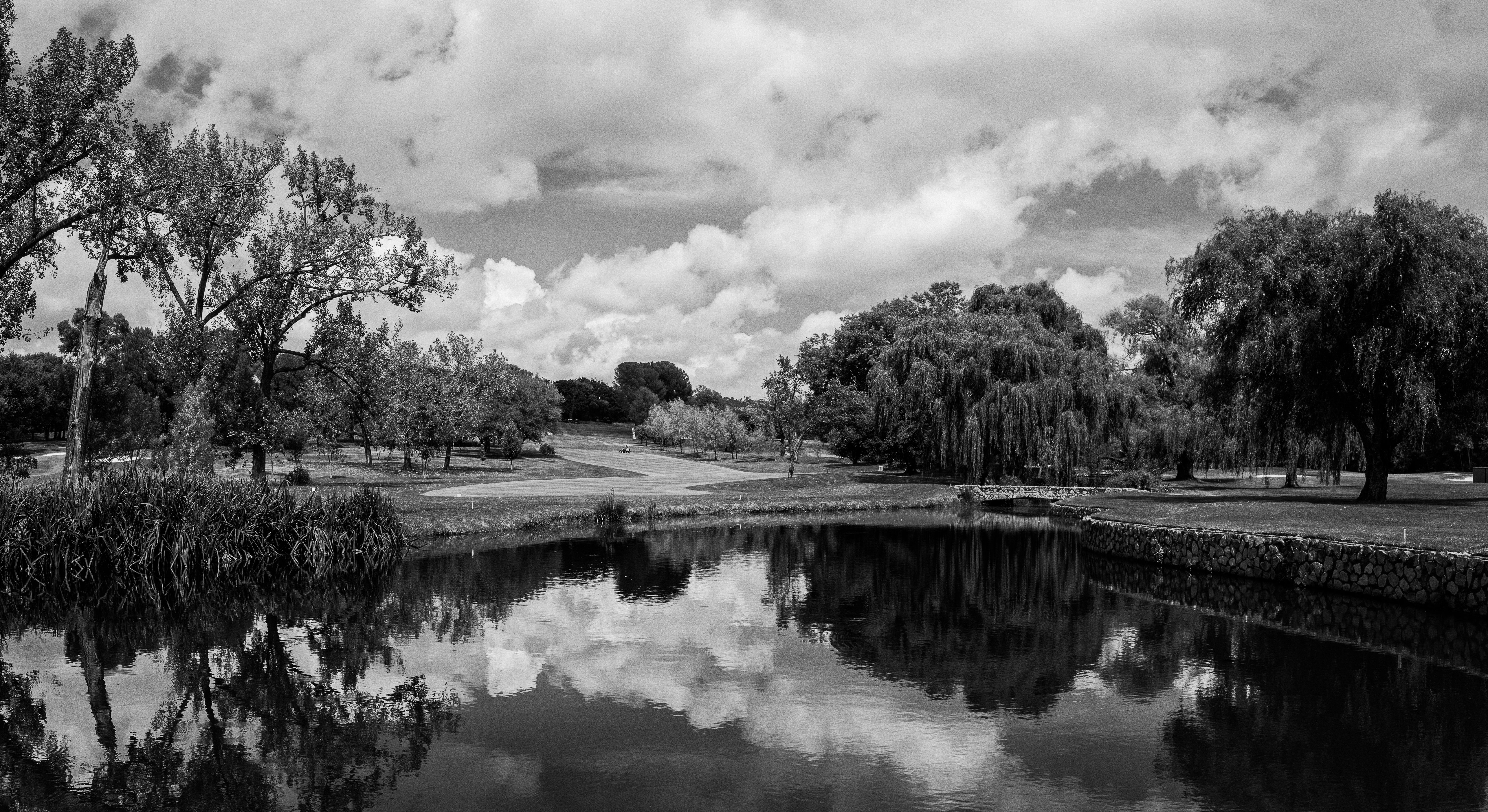Serene Black and White Landscape with Water Reflection · Free Stock Photo