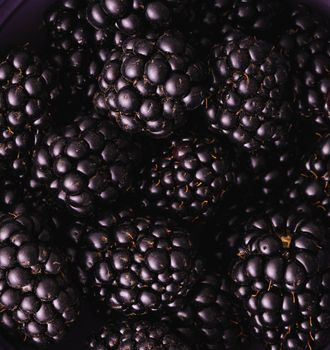 1L Bottle Blackberry Citron Seltzer