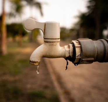 Top 5 Water Saving Tips for Every Household