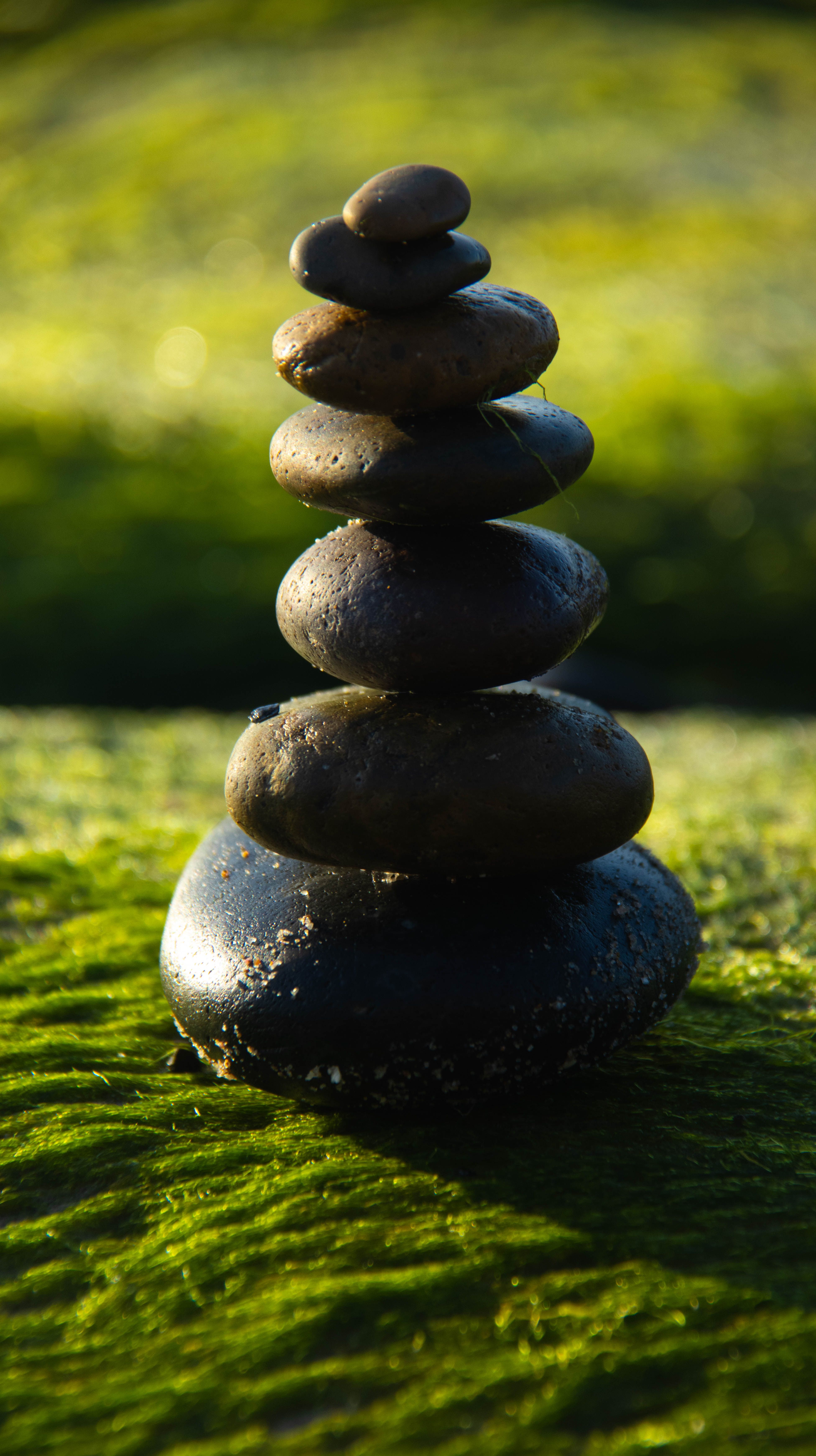 A relaxed weekend workshop on new moon rhythms