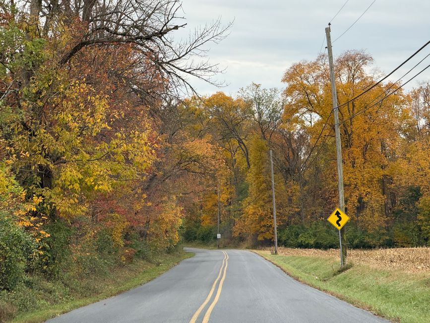 Winding rural road through fall foliage in Pennsylvania