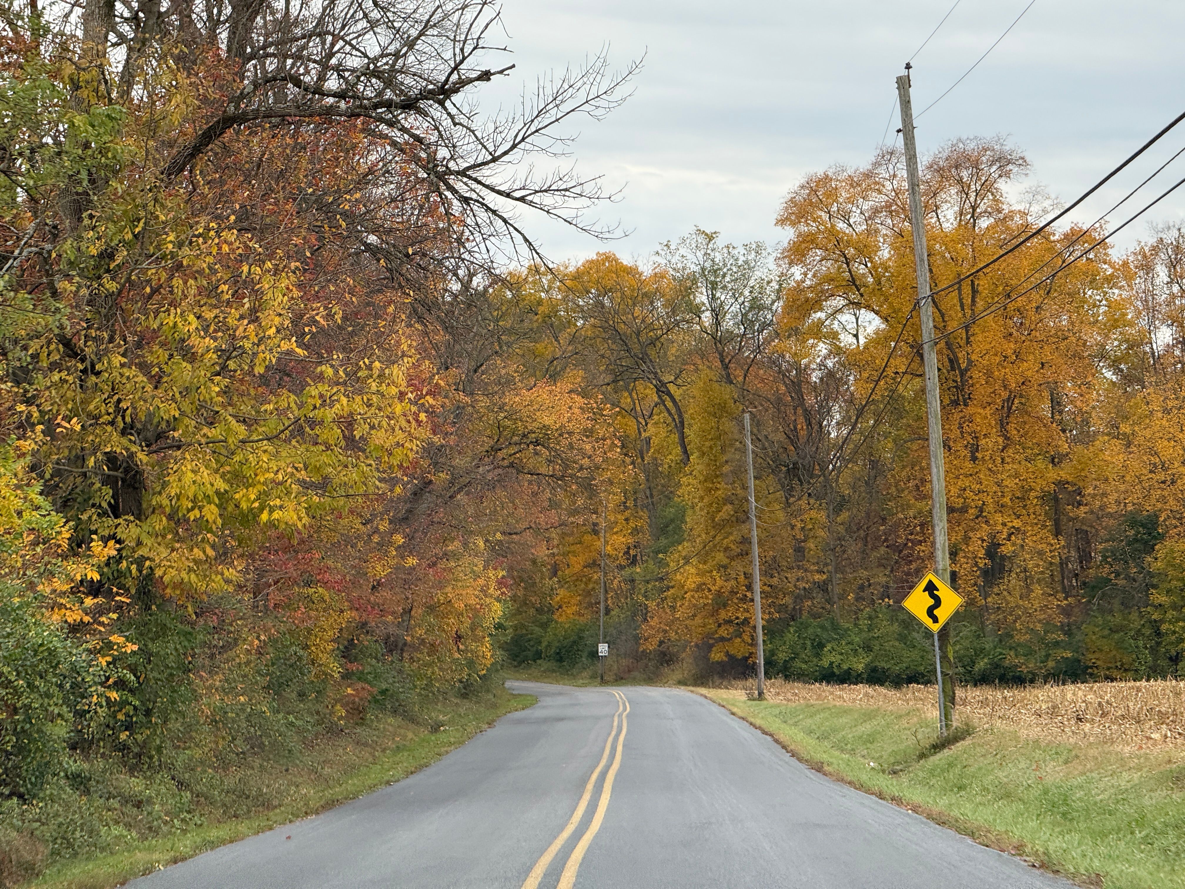 Scenic Autumn Road in Rural Pennsylvania · Free Stock Photo