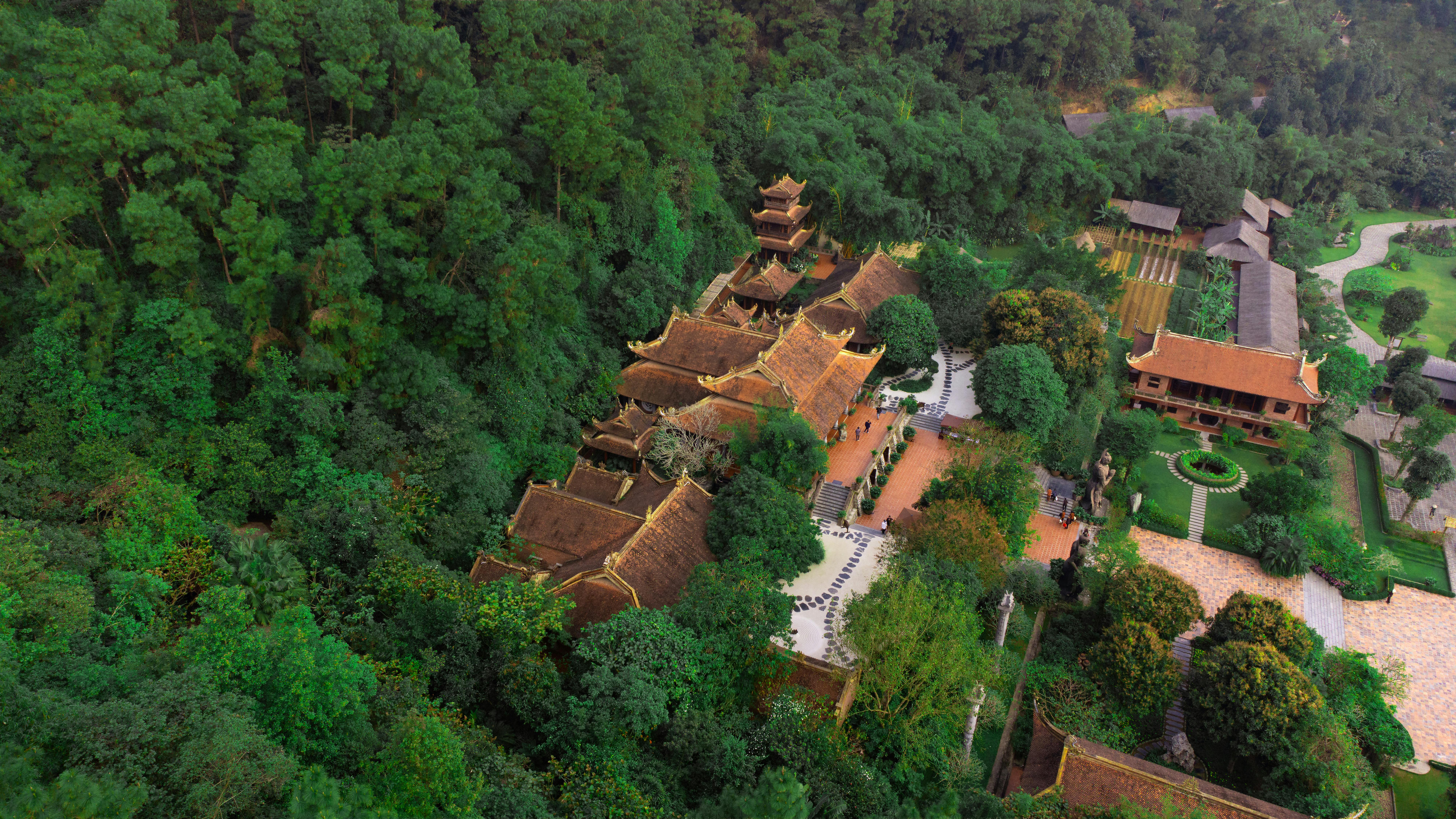 Navigating HOA Rules: Considerations for Real Estate Agents, Buyers and Sellers — Photo by HONG SON on Pexels