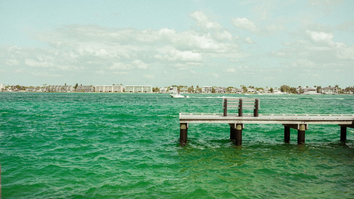 Best Birthday Freebies in St. Petersburg, FL: 2026 Local Guide