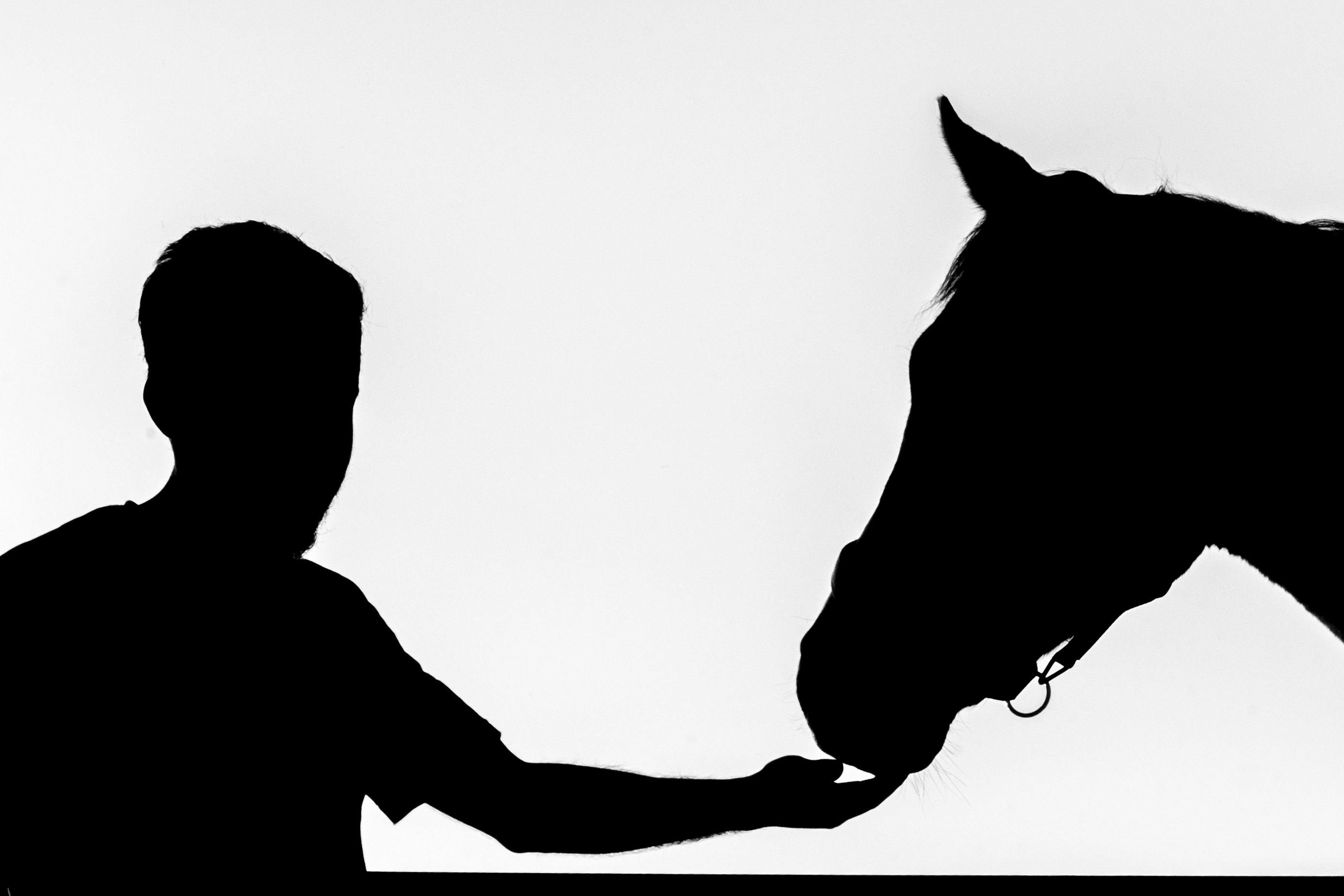 support ticket screen showing a horse racing game issue, laptop and phone on a tidy desk