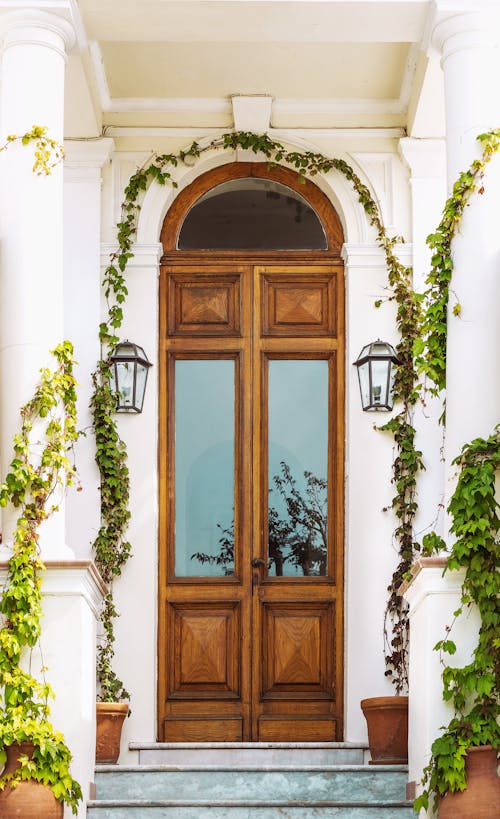 無料 緑の植物と茶色の木製ドア 写真素材