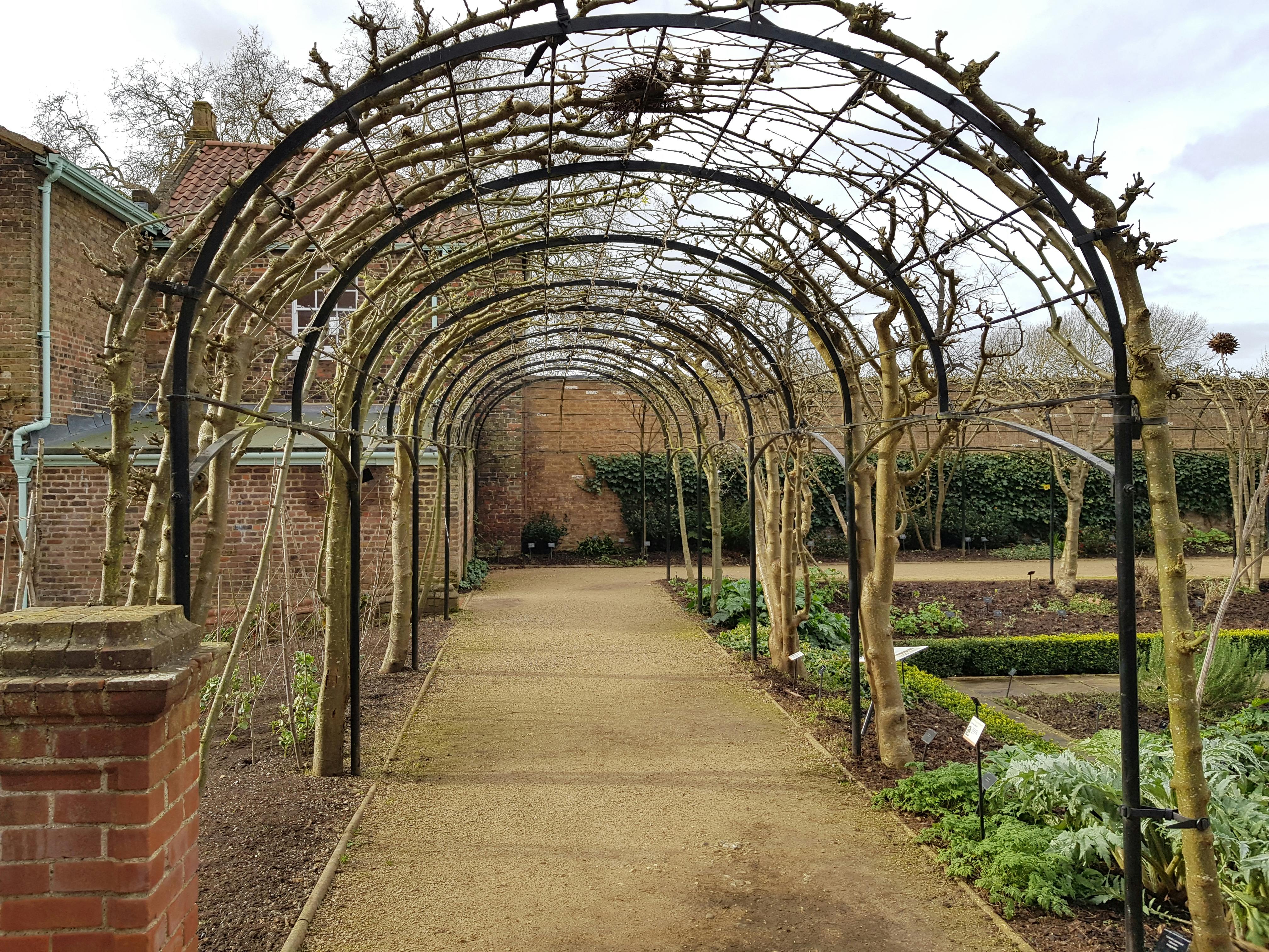 A scenic archway in a garden with bare branches and brick buildings in early spring.