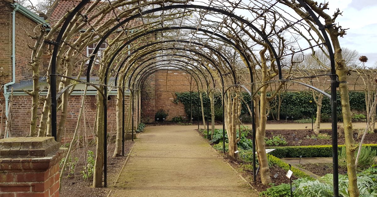 Why Your Garden Trellis Collapses (And The Pro Secrets for Lasting Support)