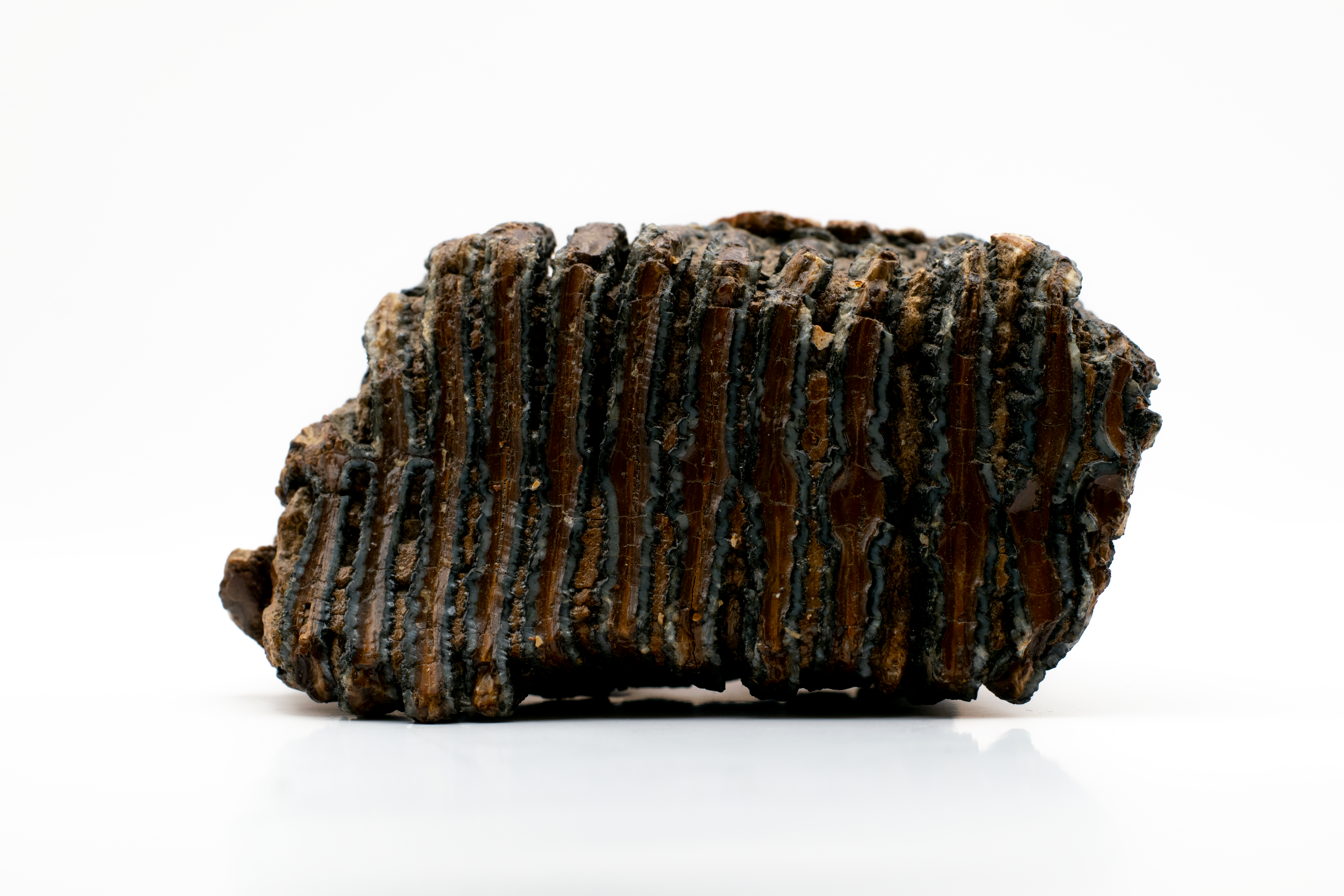 Rare Earth Elements Boom: 6 Game-Changing Trends Reshaping 2026 Market — finance and investment — gold price — 2026