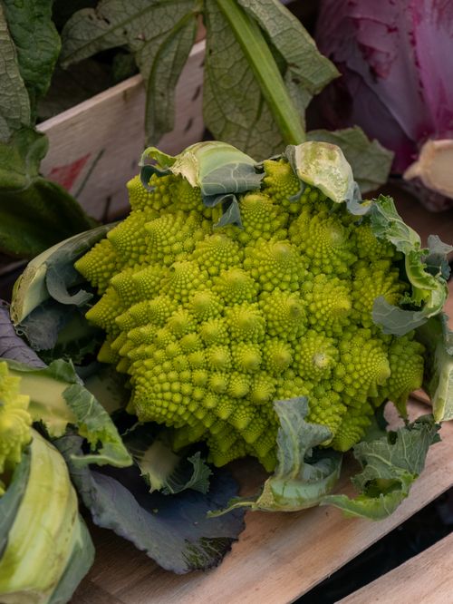 Free Close-up of a fresh Romanesco cauliflower with vivid green spirals, perfect for culinary and healthy eating themes. Stock Photo