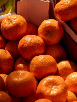Oranges, Navels (Includes Foods For Usda'S Food Distribution Program) (Raw)