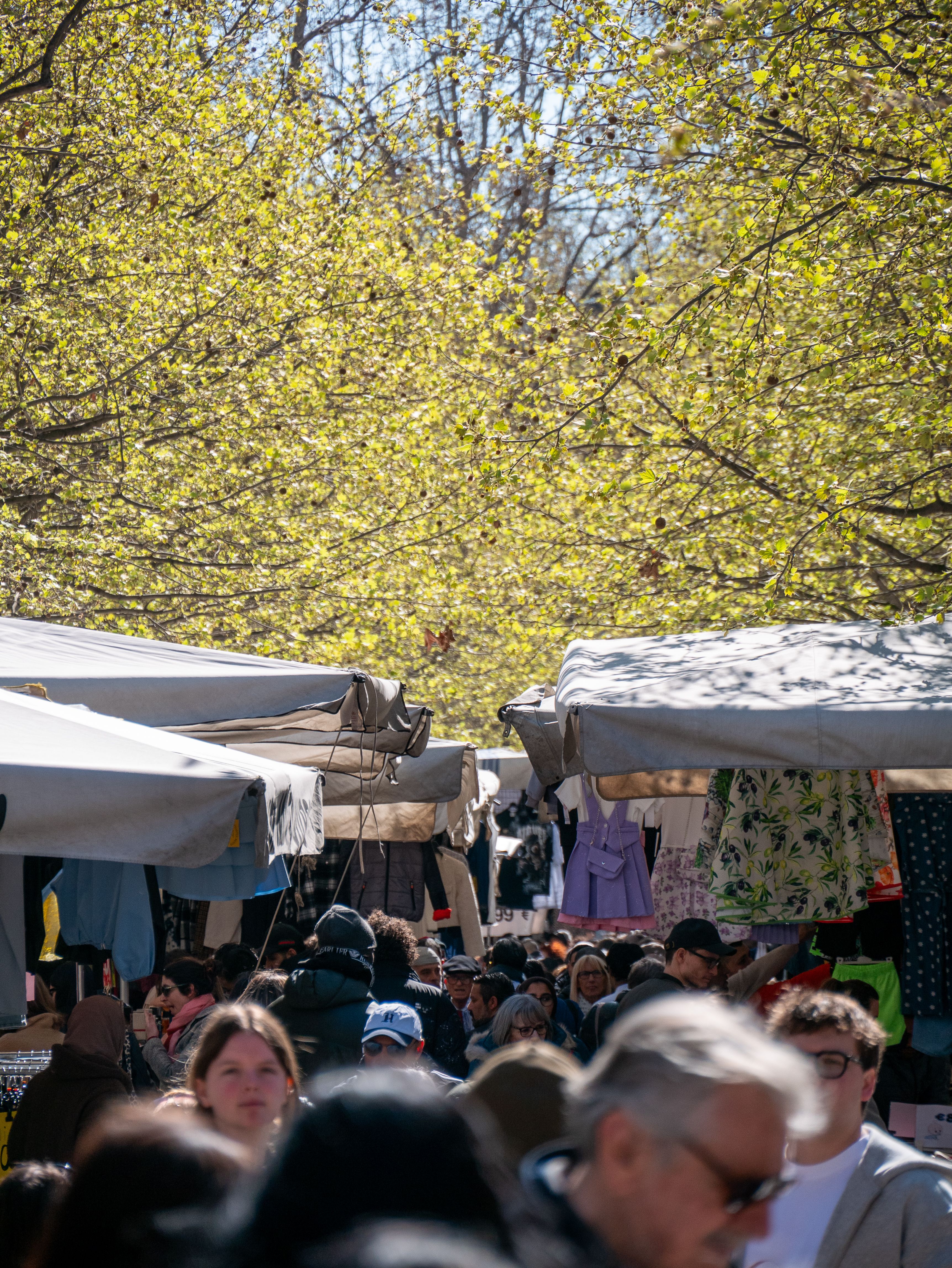 Haagse Markt