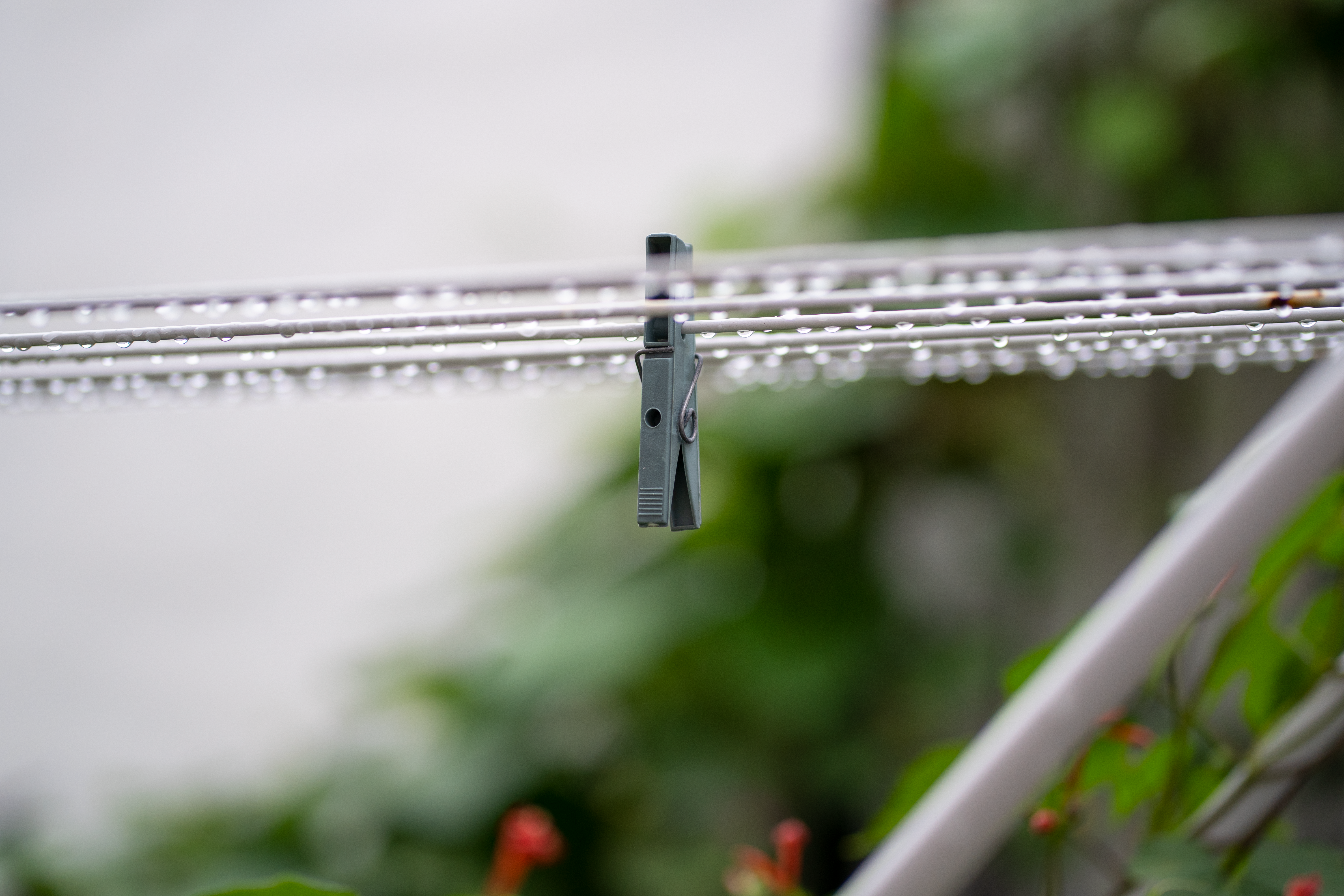 DIY Guide: How to Build a Rainwater Purification System with Smart Water Box