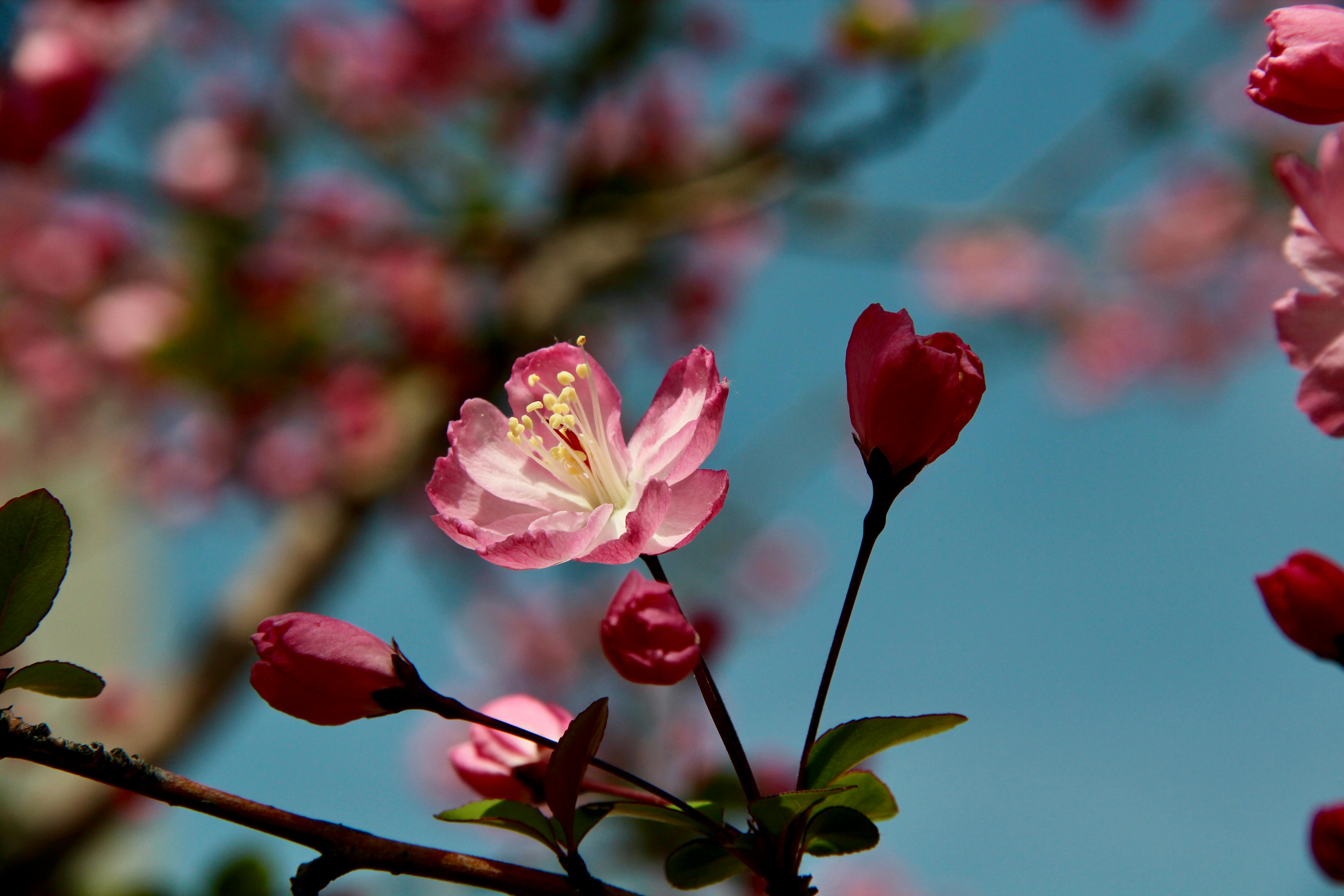 Babs Costello shares spring cleaning tips from new book 'Homemaking with Babs' — Photo by Anderson Wei on Pexels