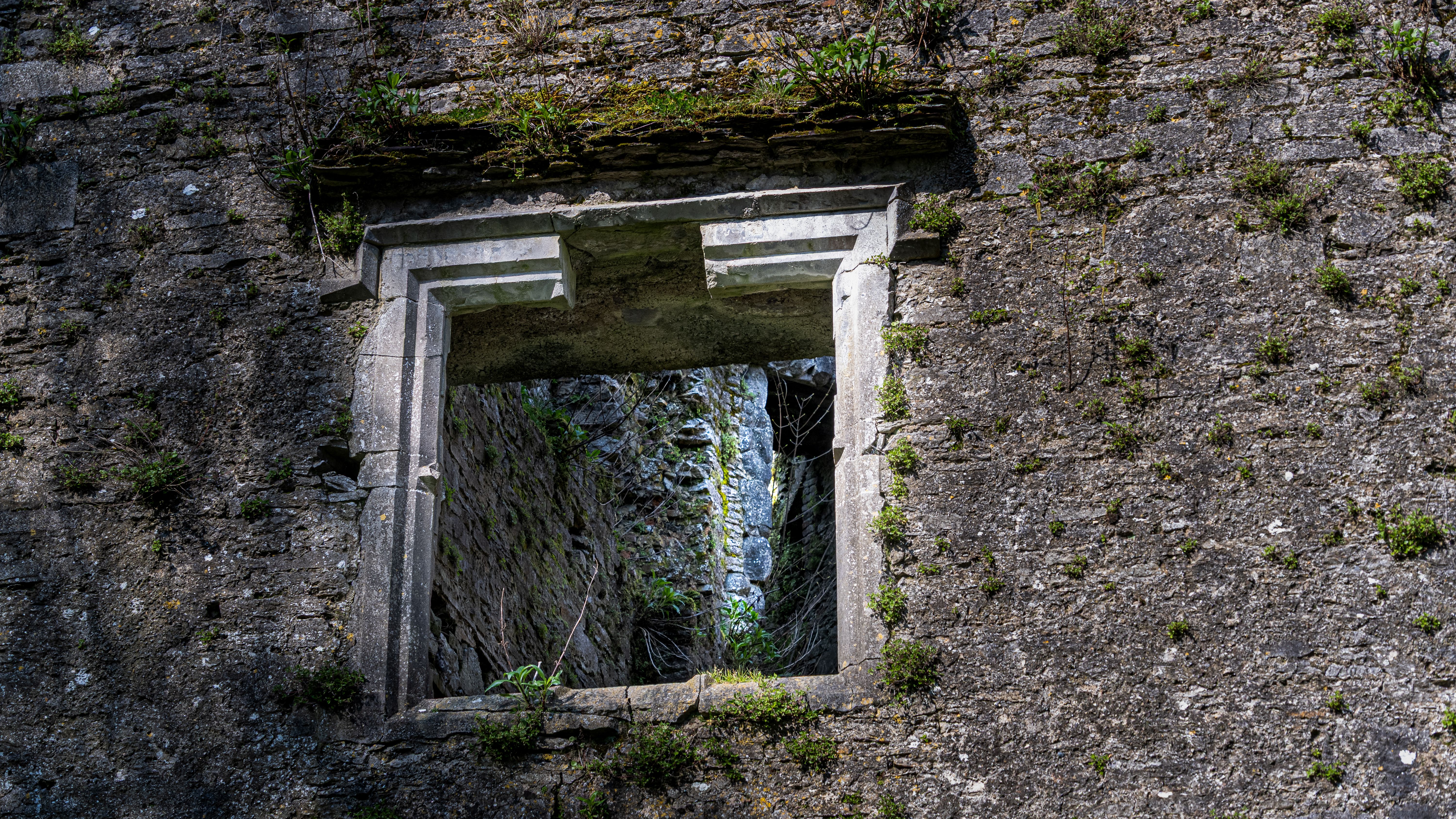 Close-up of a historical castle window in Ireland showcasing detailed stonework and moss growth.