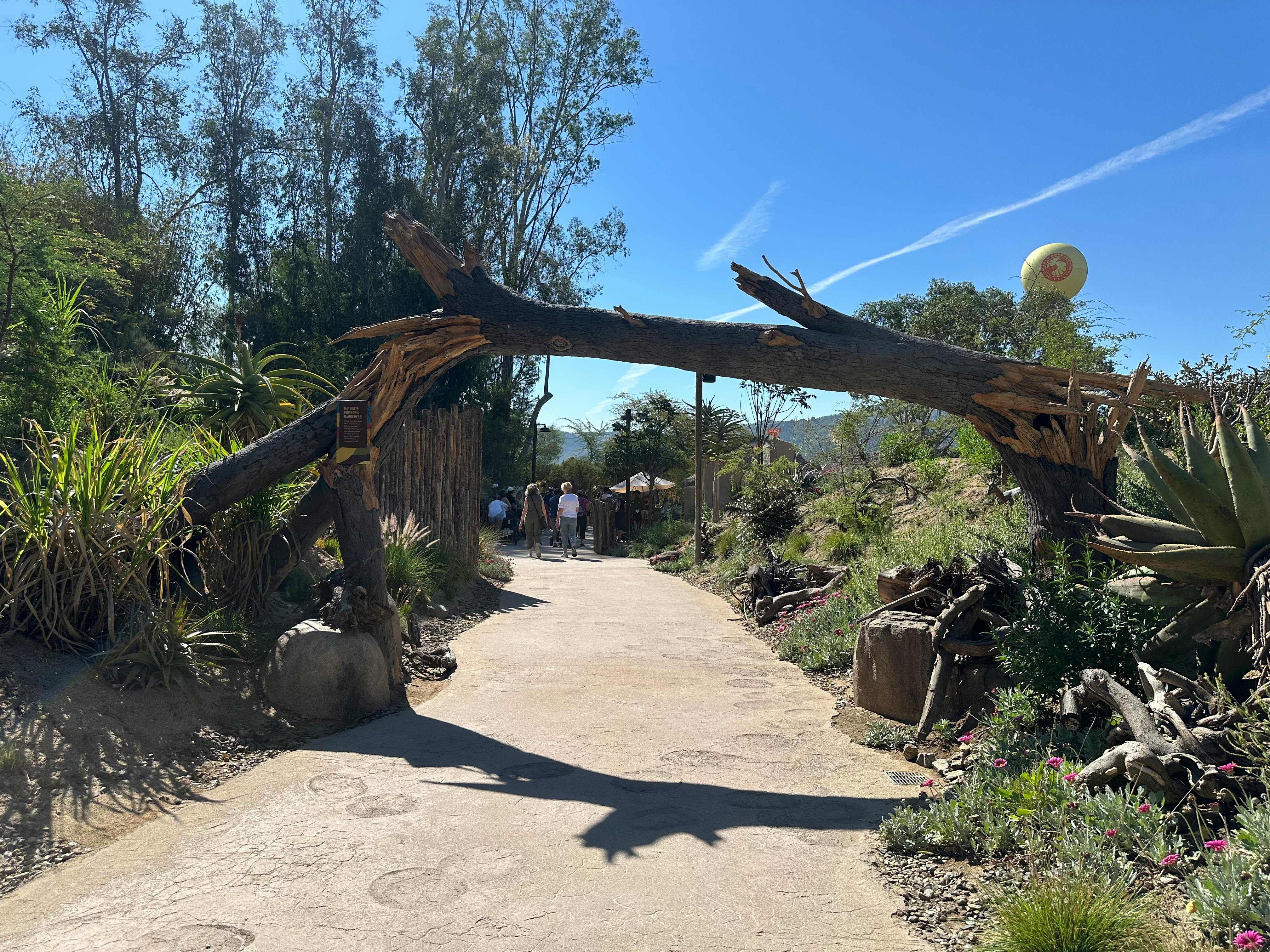 A sunny pathway with a fallen tree arch in Escondido nature park. Perfect for outdoor exploration.