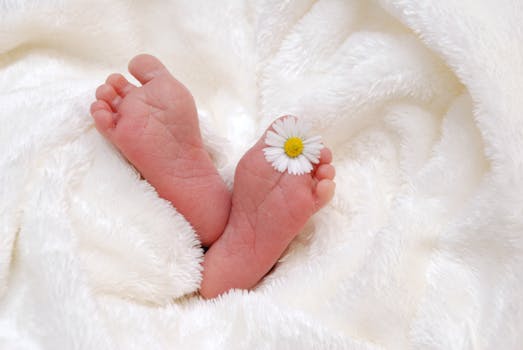 Free stock photo of feet, cute, flower, child