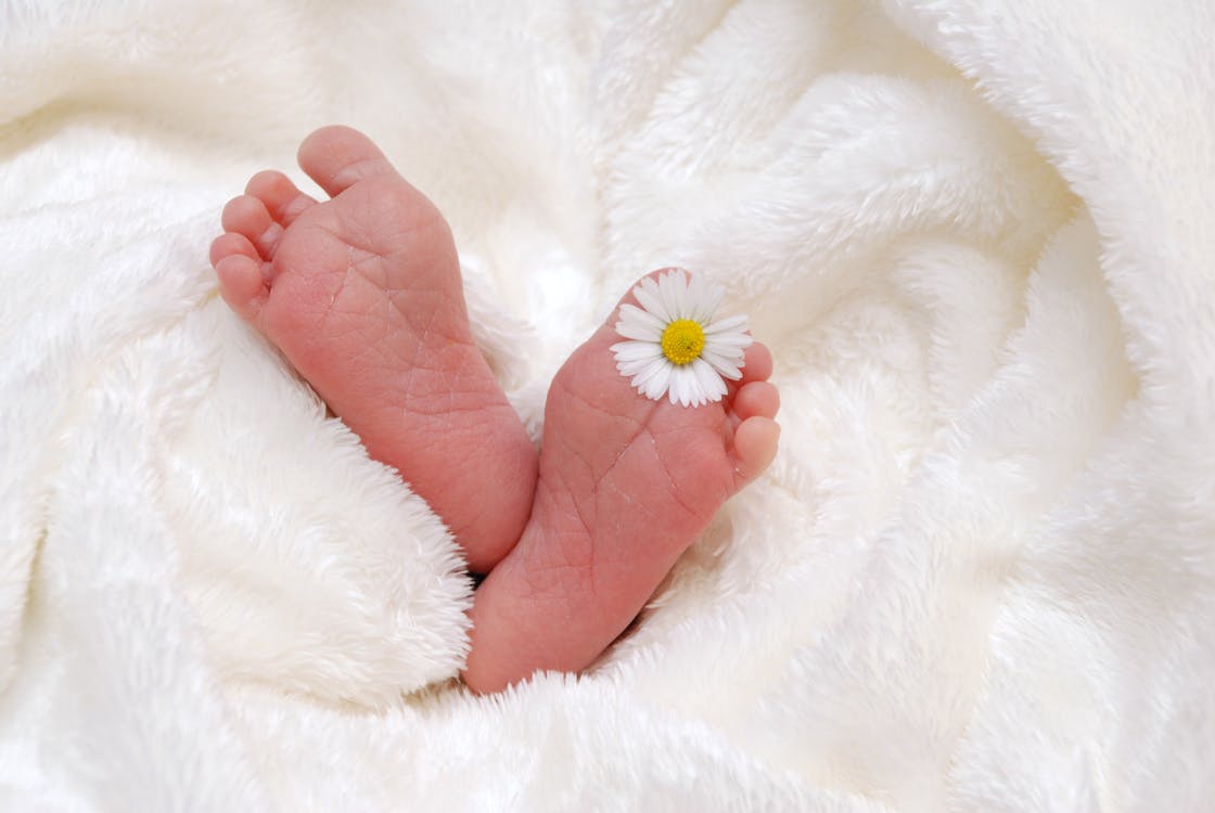 Baby's Feet With White Aster Flower