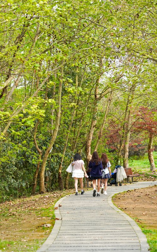 Free Three teenagers stroll on a winding forest path surrounded by lush greenery and blooming trees in spring. Stock Photo