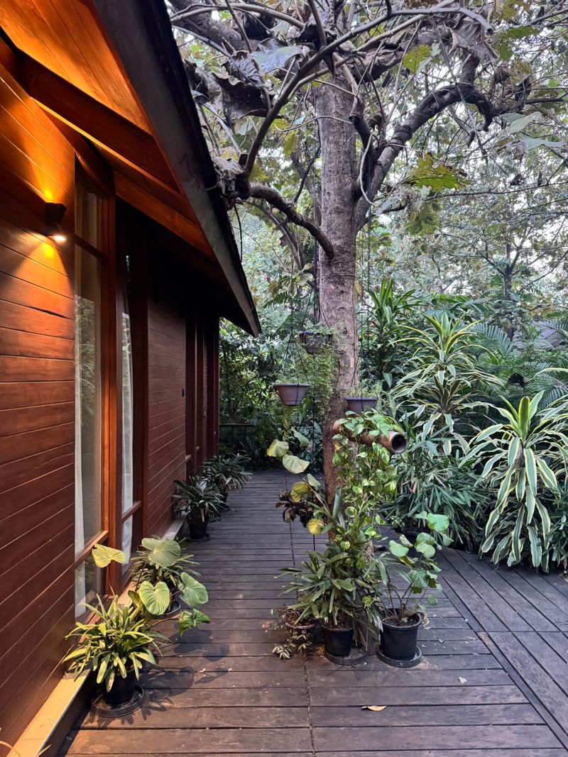 Cozy wooden deck with lush greenery outdoors, Bishopscourt
