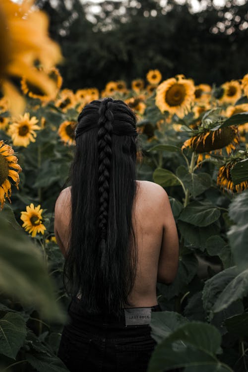 Kostenlos Frau, Die Im Sonnenblumenfeld Steht Stock-Foto