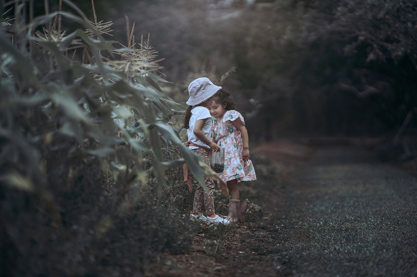 Illustrative stock photograph: Children exploring a leafy garden path