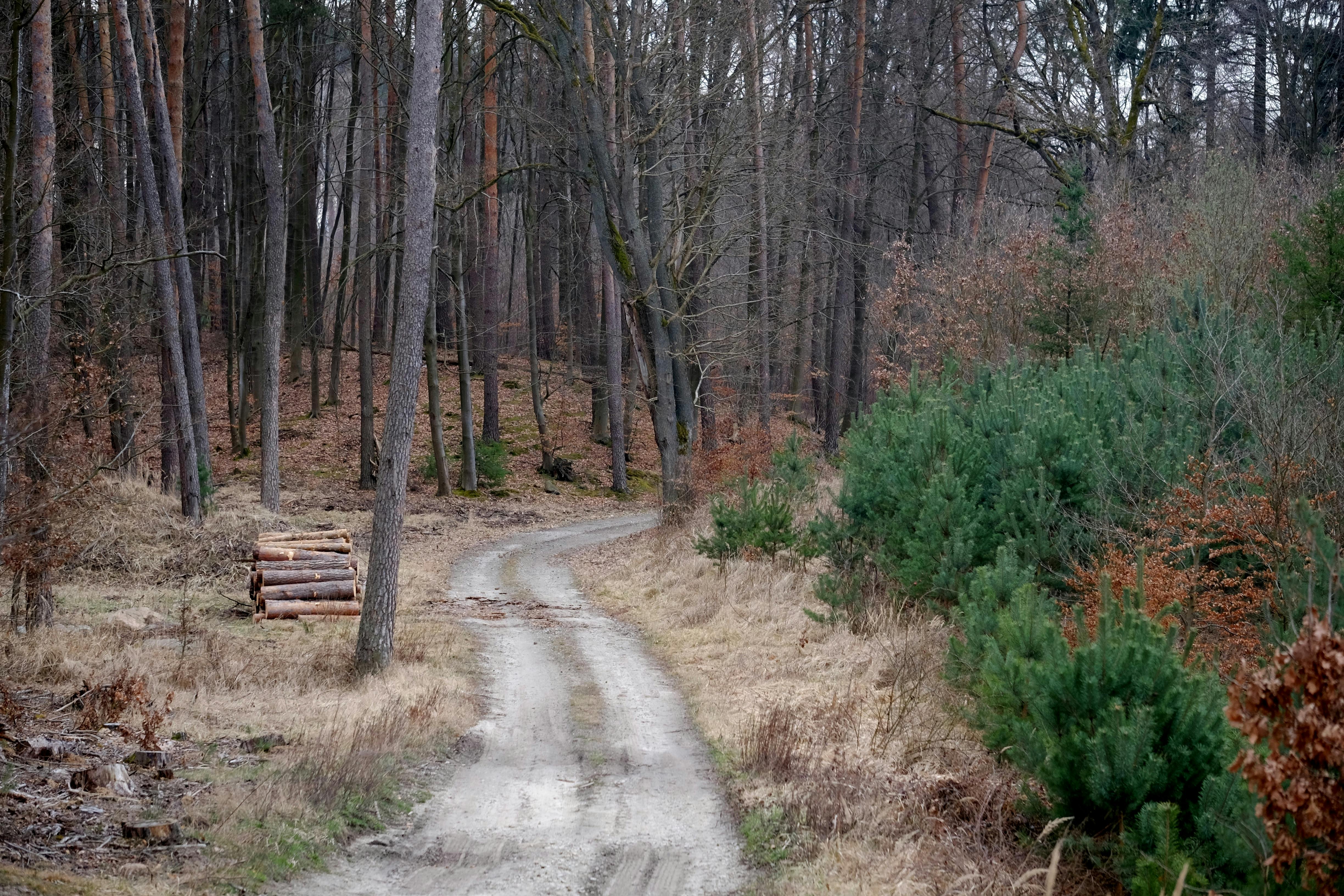 The FIRE road map: Early retirees explain their 2-part investment strategy to hit financial independence — Photo by Roman Bie