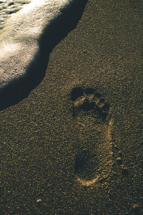 Footprint On A Sand Beach