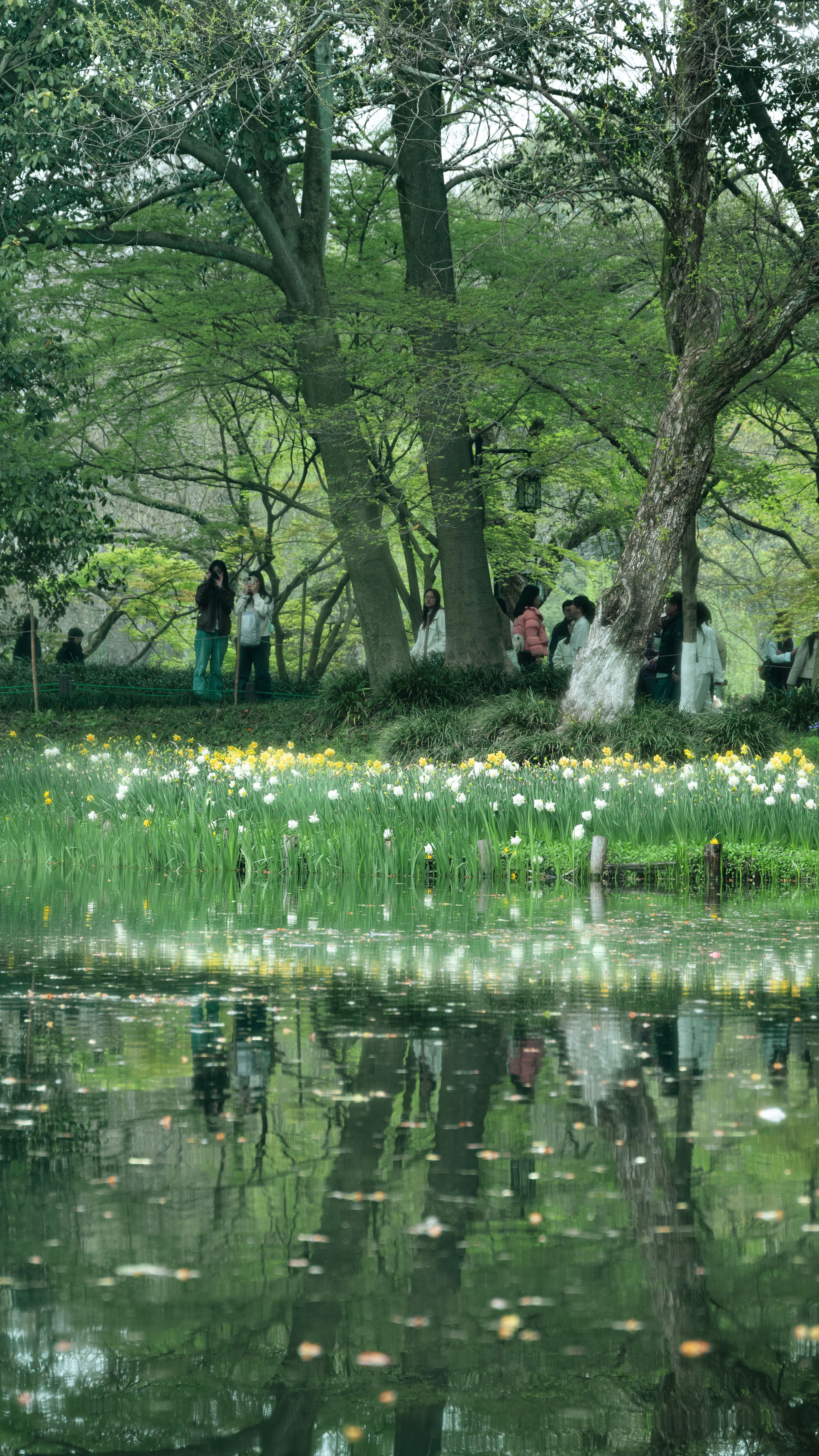 Peaceful park scene with trees and flowers reflected in a tranquil pond.