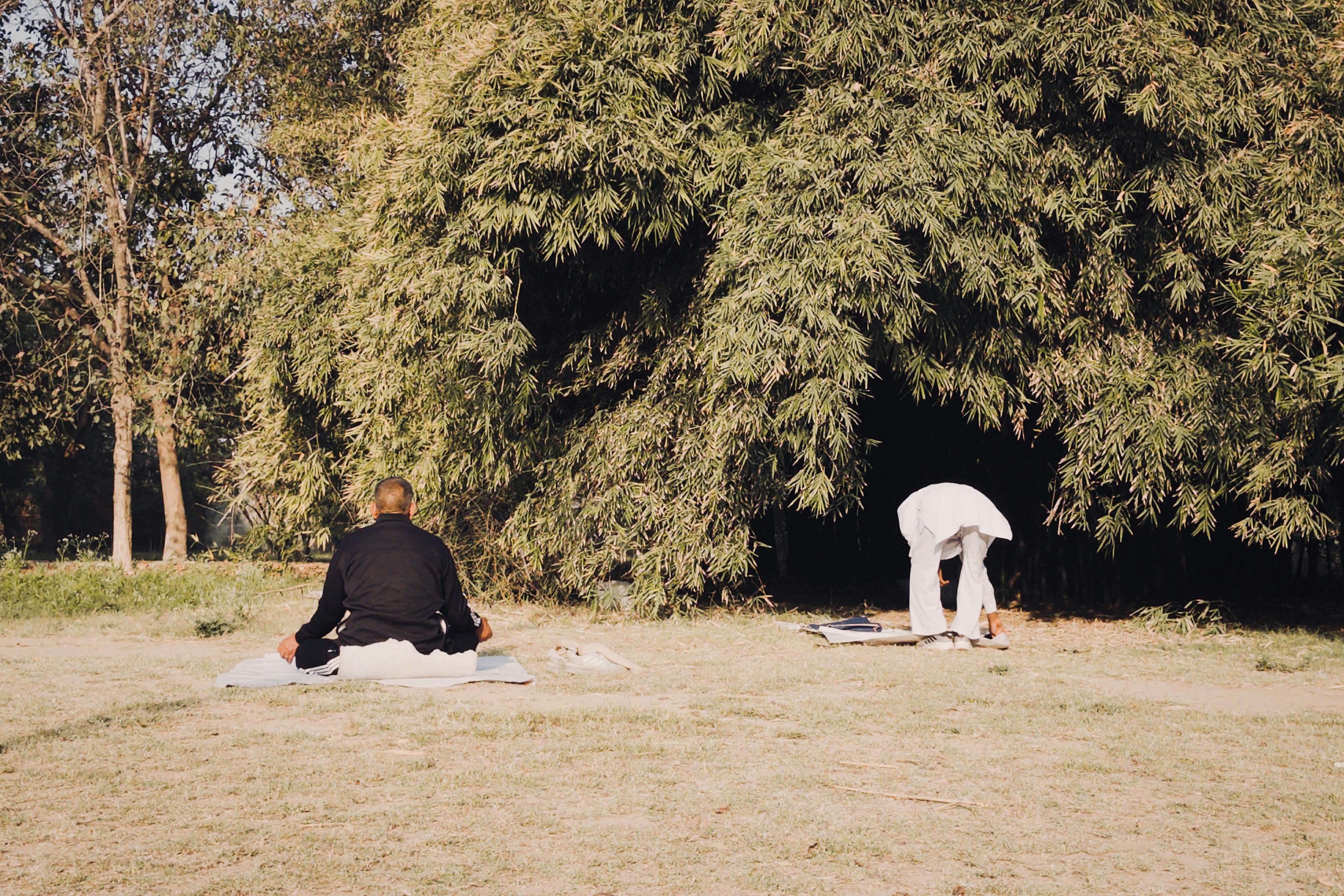 Yogarneienvprfeb99