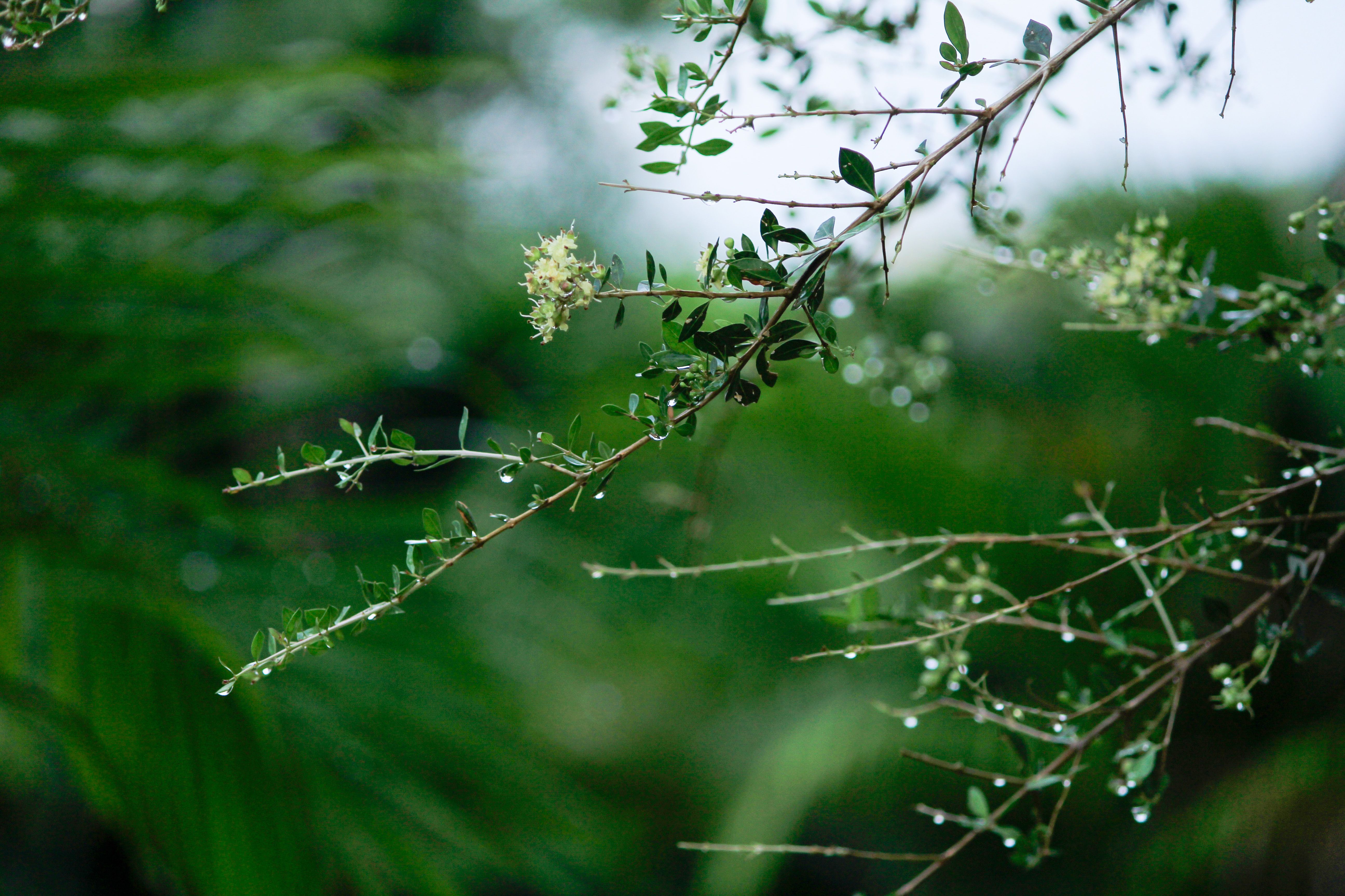 生活：4月29日降雨特報！外出請注意路面積水帶來的3大風險