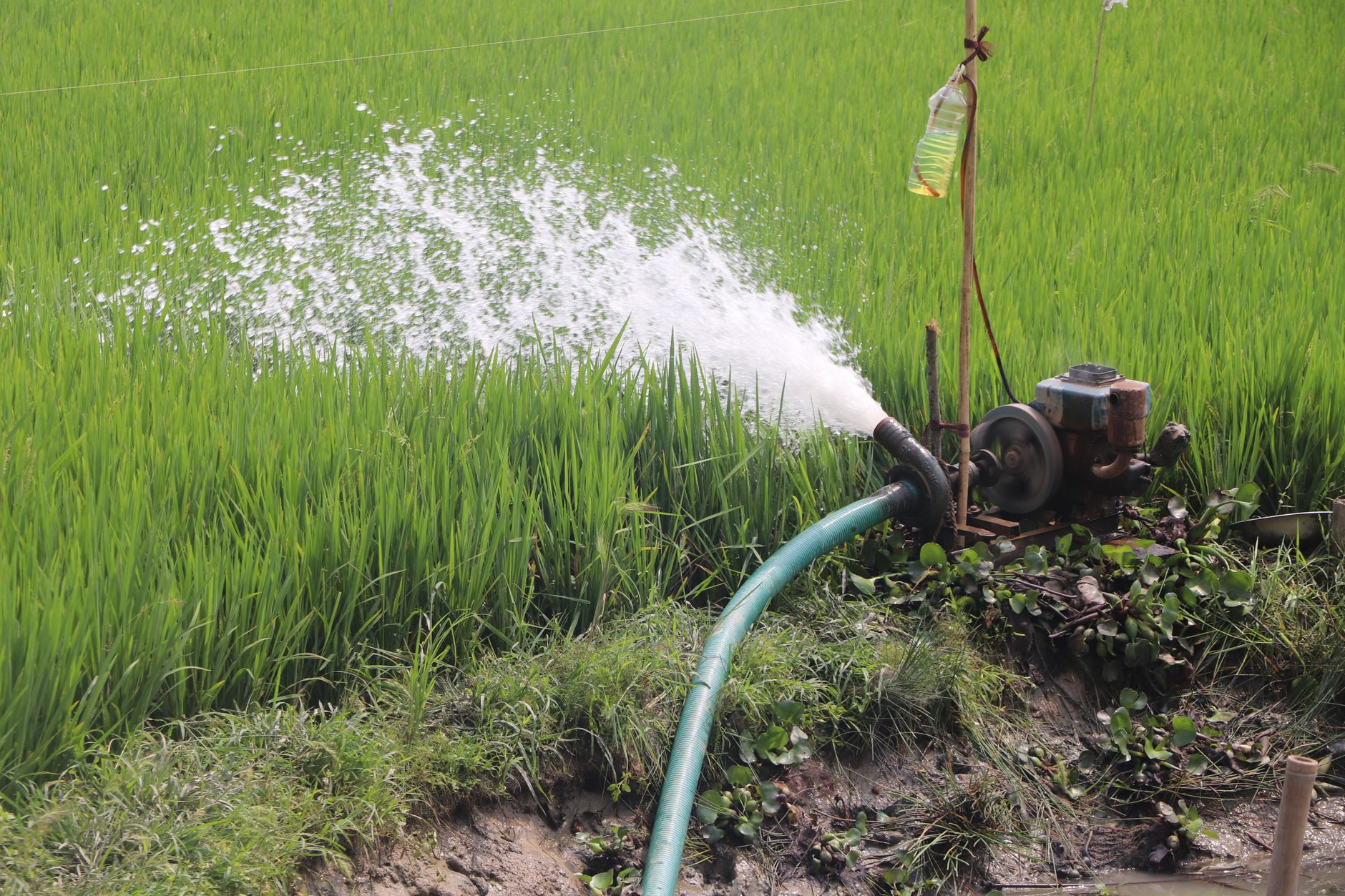 India's Water Markets Are About to Explode: Why Irrigation Scheduling Is the New Fintech