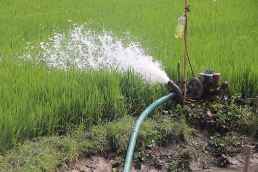 How to Build a Sustainable Water System with Smart Innovations