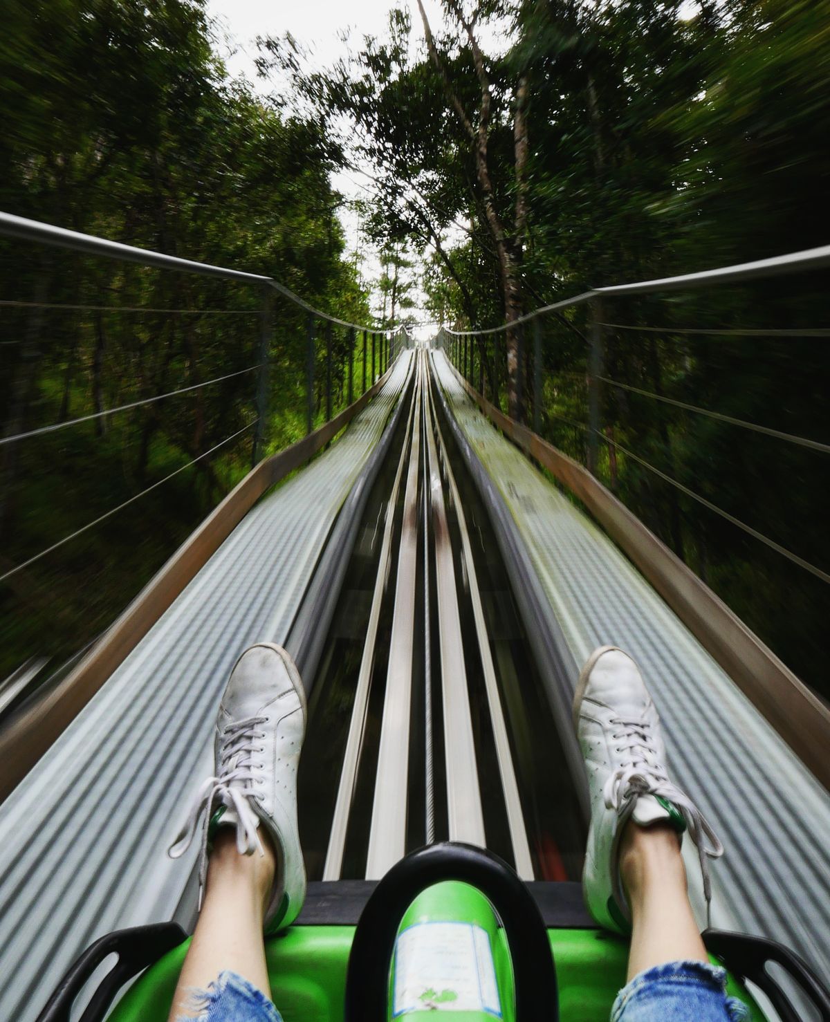 POV from alpine coaster cart looking down track