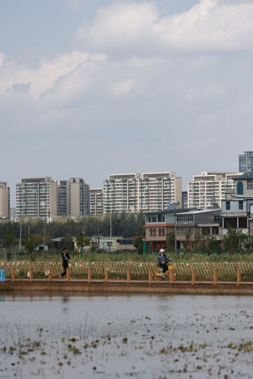 Free A serene view of urban high-rise buildings contrasted with rural elements in the foreground. Stock Photo