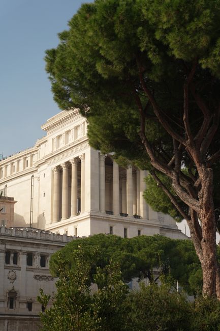 View of Rome's iconic architecture with lush trees, capturing historical elegance.