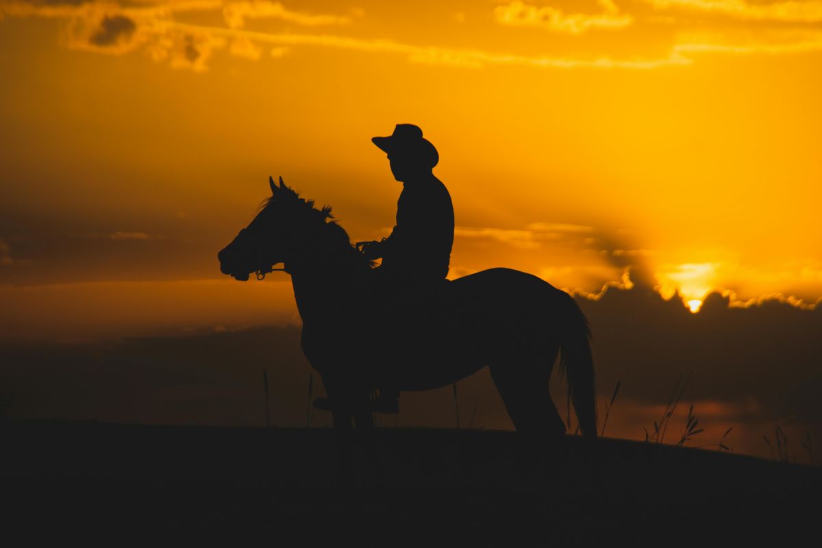 Vahşi Batı kovboyunun gün batımında at üzerinde yolculuğu, Wild West Gold Zaman Takip Aracı rehberi için