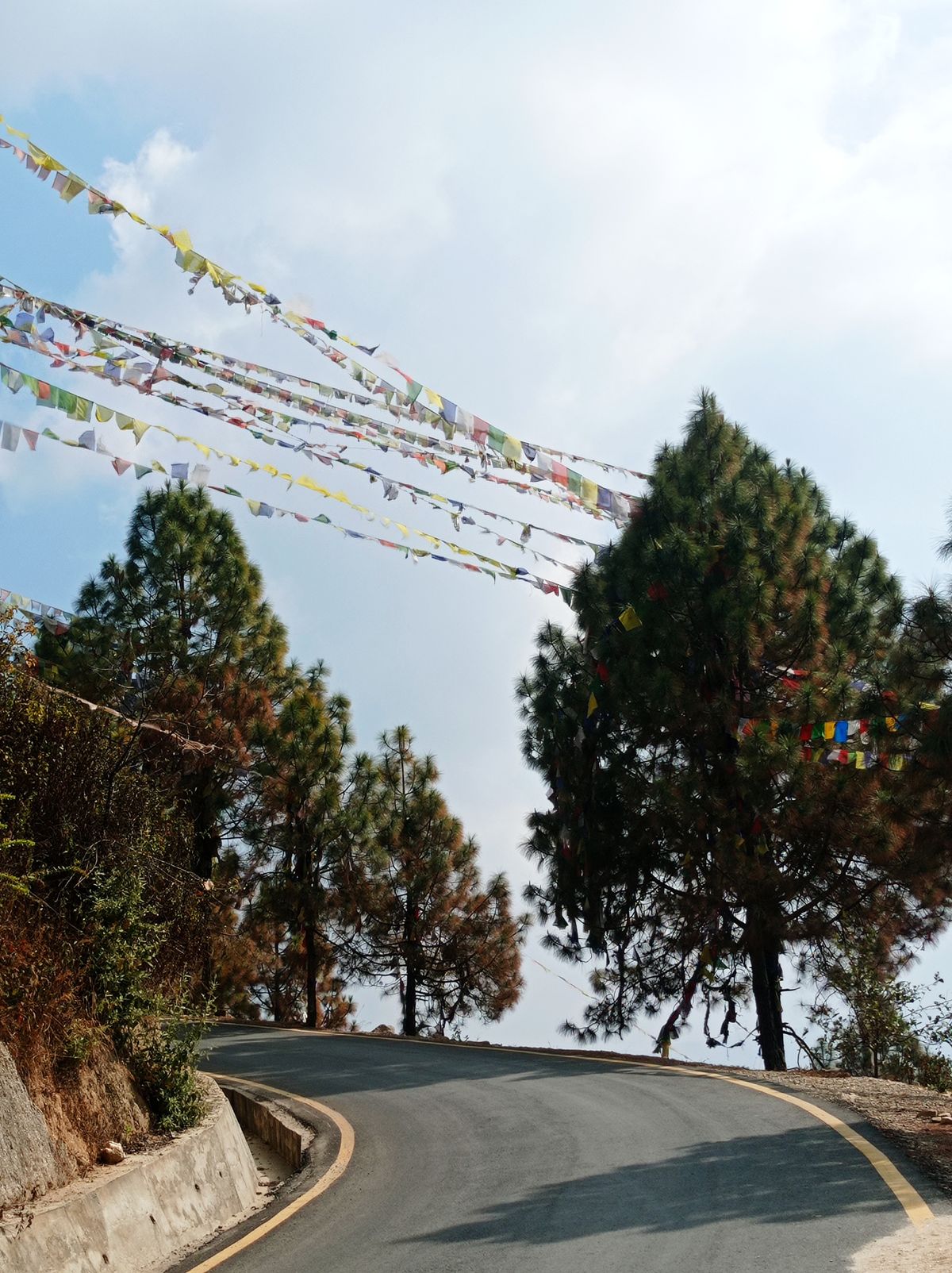 Prayer flags strung above a curving mountain road between pines in the hills of Nepal