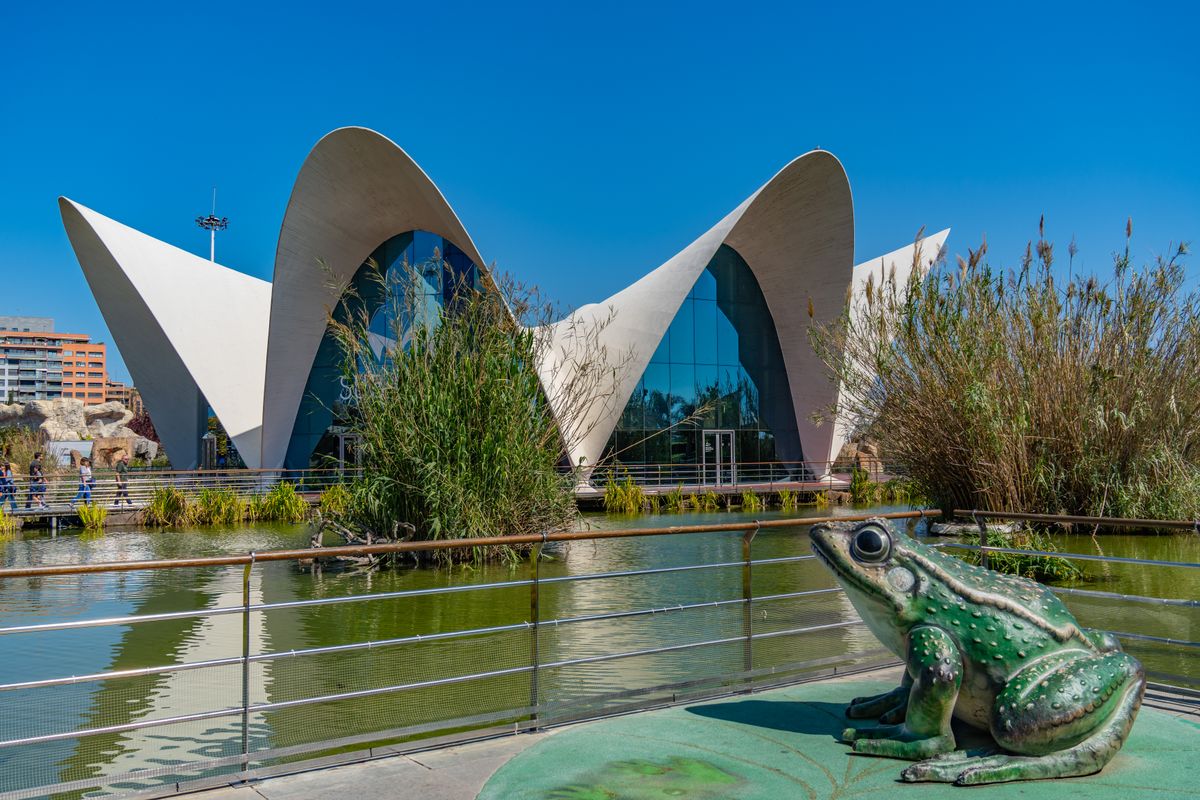Acoperisurile albe ale Oceanografic si o sculptura verde de broasca