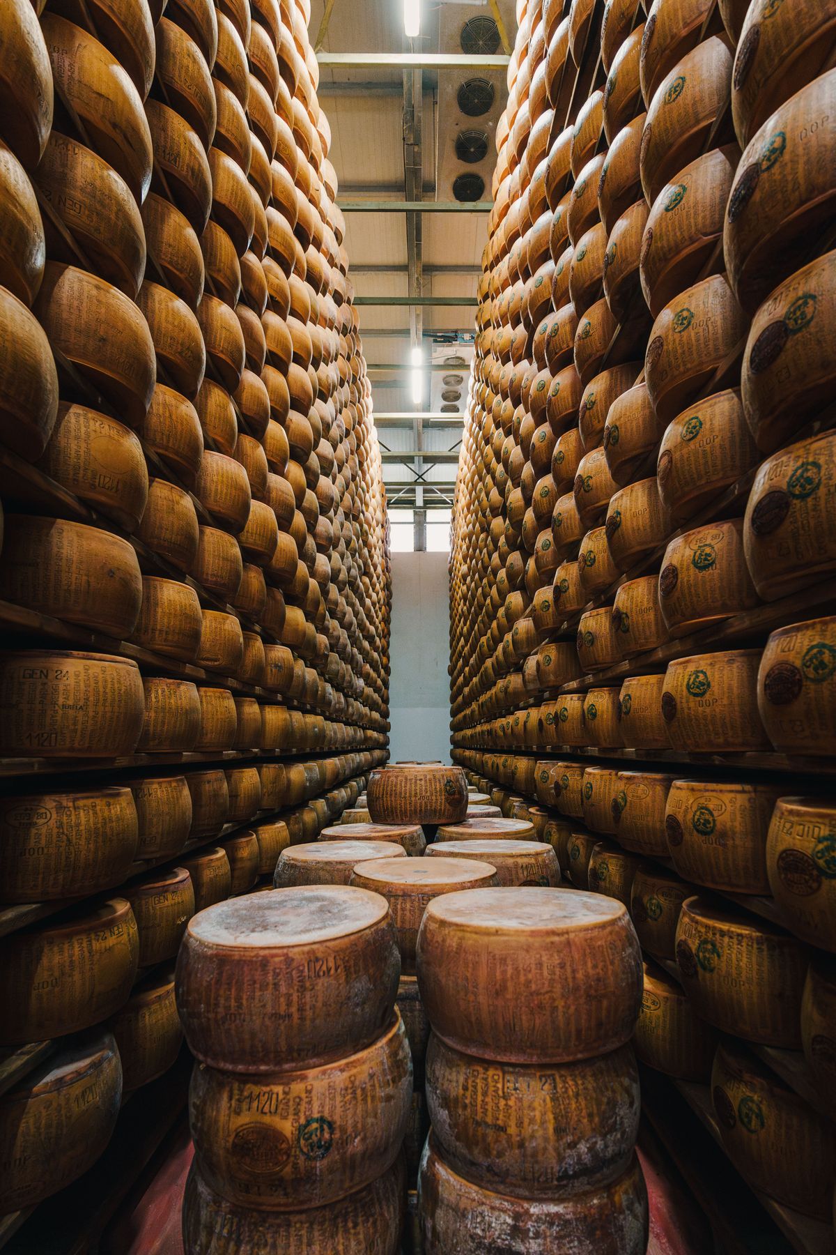 Forme di Parmigiano in stagionatura in un magazzino dell’Emilia-Romagna
