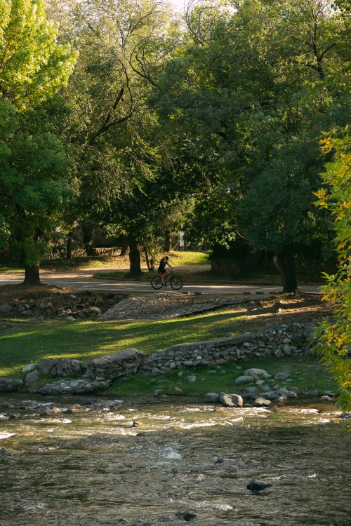 Free A cyclist rides through a lush park by a flowing river under bright sunlight. Stock Photo