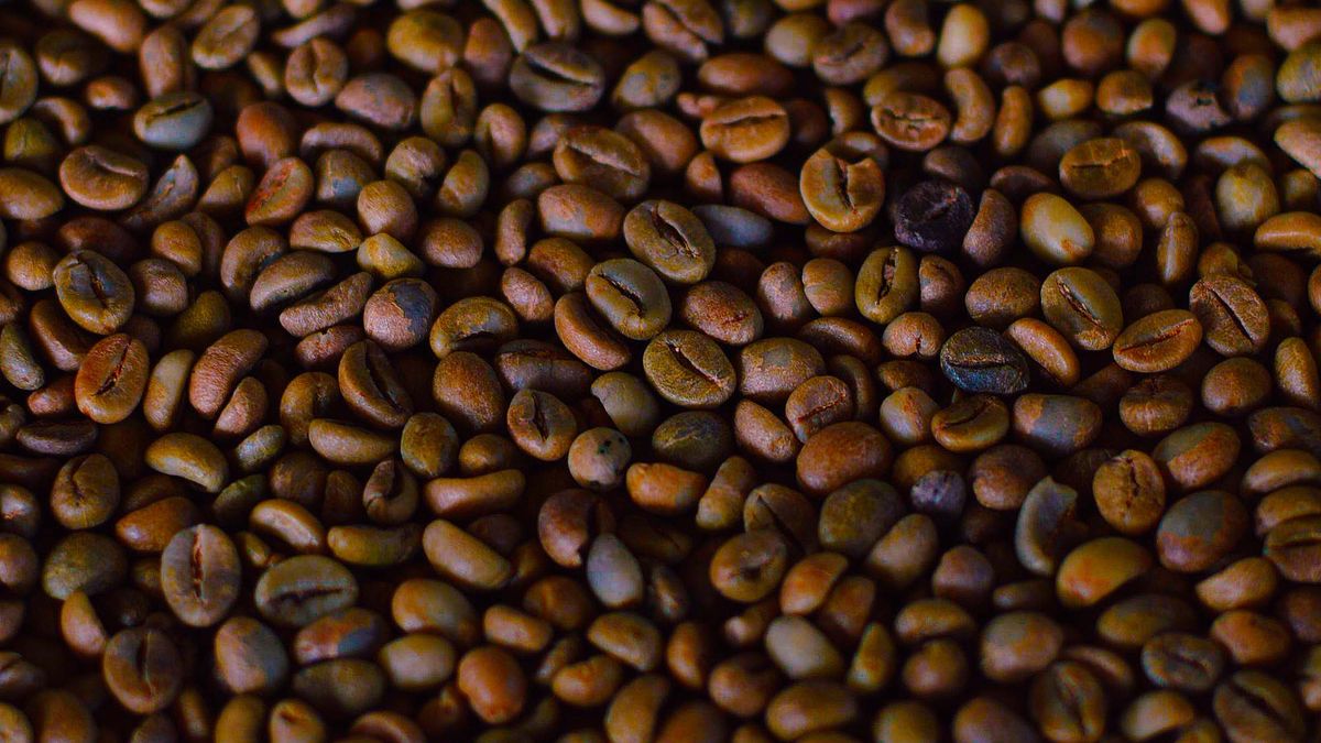 Les tendances du café en 2026 : comment choisir son café de spécialité - illustration